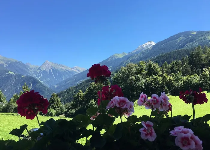 מלון Olympia-relax-hotel Leonhard Stock פינקנברג