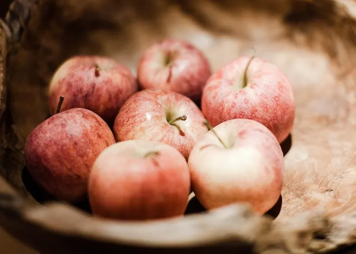 מלון Olympia-relax-hotel Leonhard Stock פינקנברג