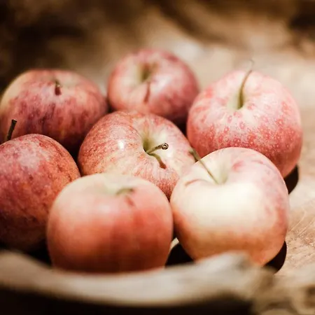 酒店 莱昂哈德斯托克奥林匹亚休闲酒店 弗林肯贝格